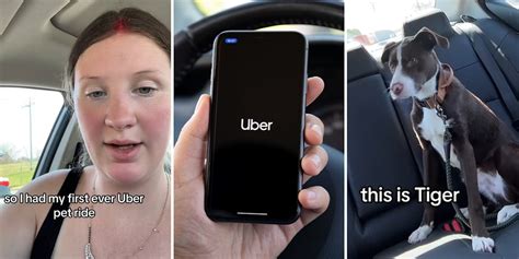 xvideo uber|Uber Driver can't believe this have happened .